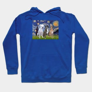 Starry Night with Three Boxers (natural ears) Hoodie